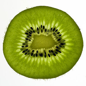kiwi kl