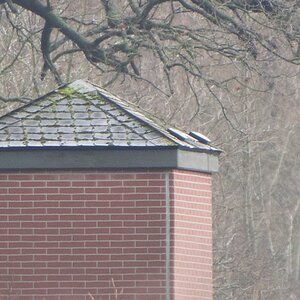 20120121 1772 [NIKON 1 V1] 400 mm,1 25 Sek. bei ƒ   5,6