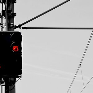Signal