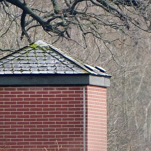 20120121 1772 [NIKON 1 V1] 400 mm,1 25 Sek. bei ƒ   5,6 2