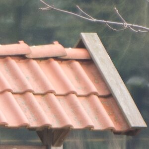 20120121 1775 [NIKON 1 V1] 400 mm,1 25 Sek. bei ƒ   4,0