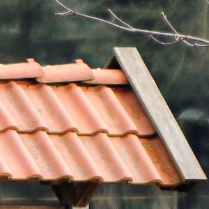 20120121 1775 [NIKON 1 V1] 400 mm,1 25 Sek. bei ƒ   4,0 2