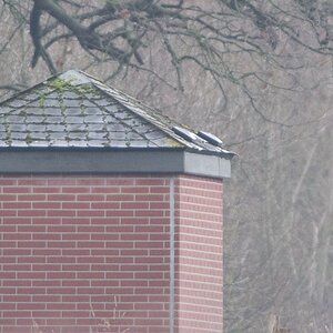 20120121 1787 [NIKON 1 V1] 420 mm,1 15 Sek. bei ƒ   5,6