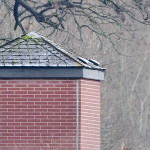 20120121 1787 [NIKON 1 V1] 420 mm,1 15 Sek. bei ƒ   5,6 2