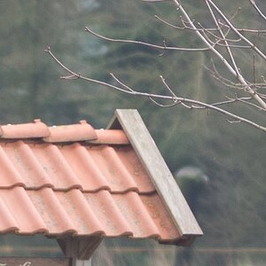 20120121 1797 [NIKON 1 V1] 300 mm,1 30 Sek. bei ƒ   2,8