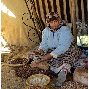 Argan 1