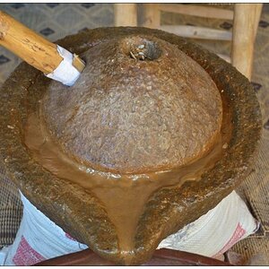 Argan 2
