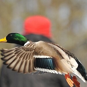 PIC 4913
