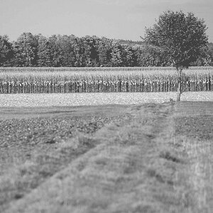 DSC 7786 web crop4