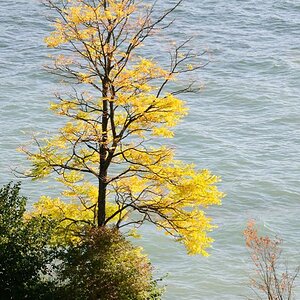 Herbst auf der Mainau
DSC 3374