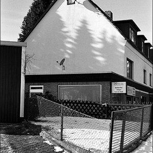 schattenwesen