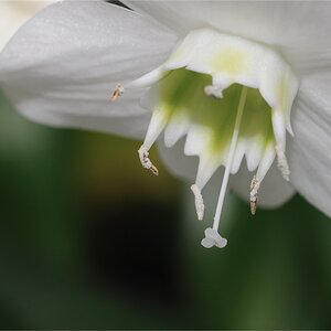 VHS Makrokurs