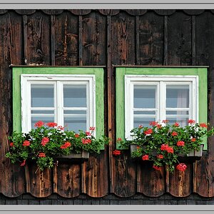 Doppelpack
