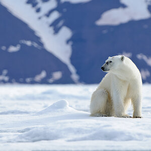 Spitzbergen 2011 SPE 2924 NFF