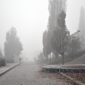 Nebel