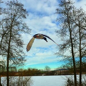 neulich am Sterenbachsee