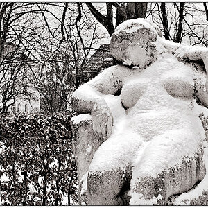 Winter im Schrevenpark