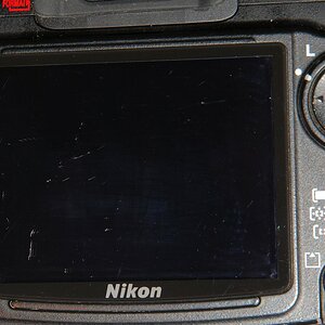 DSC05209
