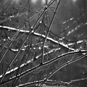 BrieseSwamp 0038 120203 SW 1024x685
