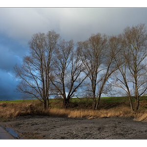 Licht