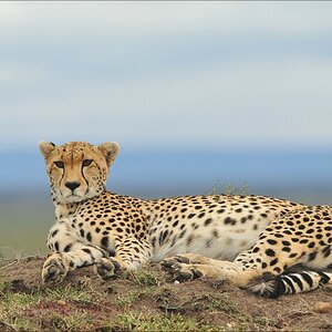acomp Kenia 20111014 07325