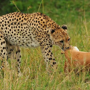 acomp Kenia 20111015 10210