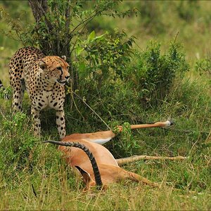 acomp Kenia 20111015 12333