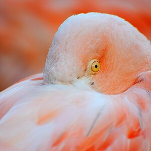 20120115 19 Zoo Rostock