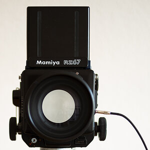 RZ67