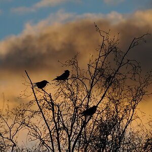 Tamron 70-300mm Test 14