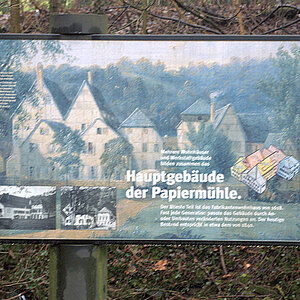Schild