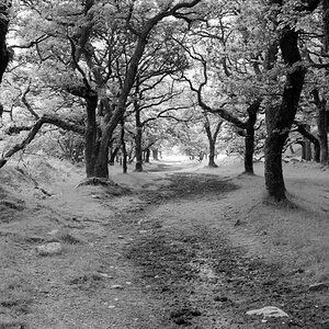 Exmoor Doone Valey, Devon, UK