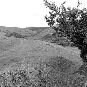 Exmoore, Devon, UK