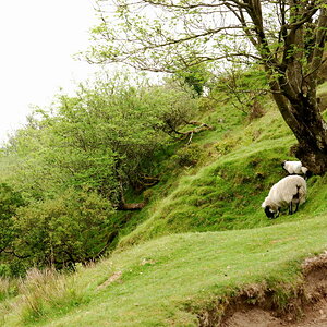 Exmoor East, Devon, UK