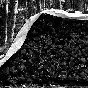 Holzstapel03