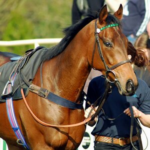 Lingfield Park Racecourse, Sussex, UK