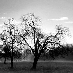 Emslandnebel 2
