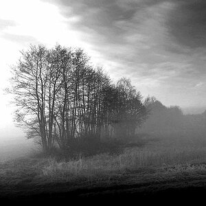 Emslandnebel 1