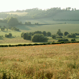 late summer