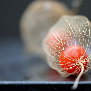 vernetzt