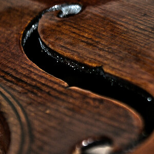 violin