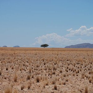 Namib