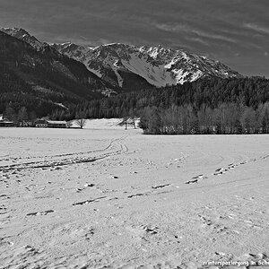s DSC bw red1117 zm