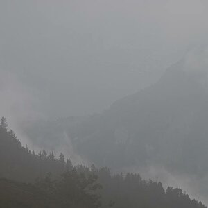 Rophaien Nebel