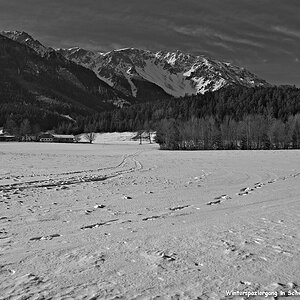 s DSC bw red1117