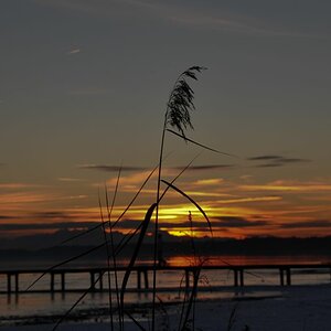 DSC 0083