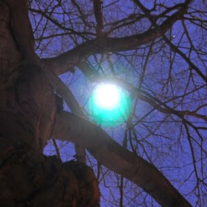 Hier ein ausschnitt aus dem Bild, der Mond  erscheint total grün gut ist auch überbelichtet, aber mit meiner Nikon d40 war der Mond nicht so grünlich.