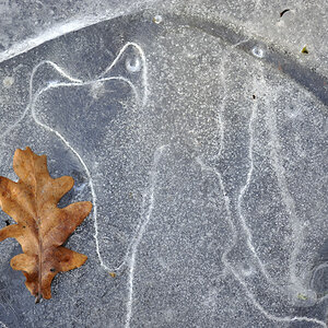 20090207 133439 Botanisch Garten