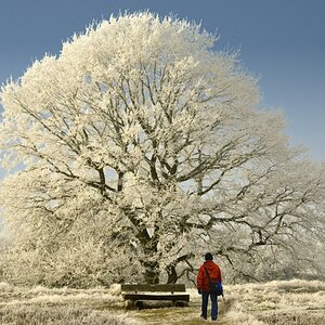 Zauberkraft des Winters