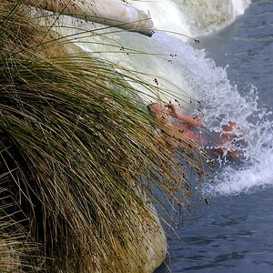 Badefreuden #3